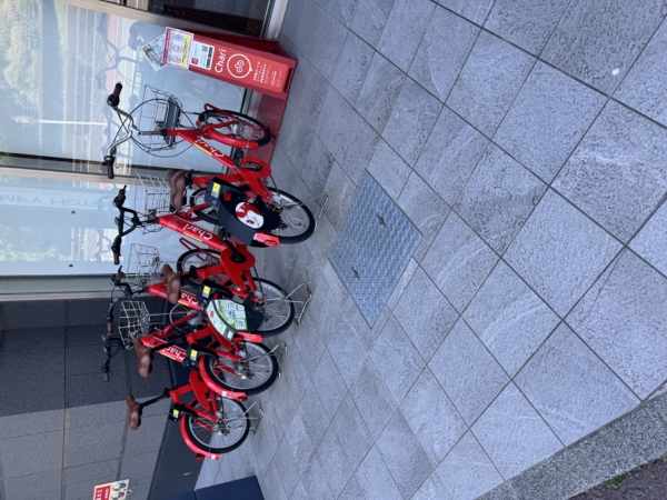 チャリチャリ🚲の画像
