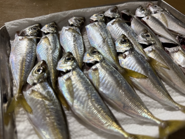 すまいる本店☺️の画像