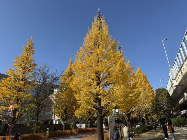 すまいる本店の画像