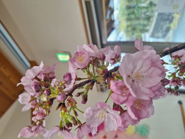 🌸すまいる北部３月②🌸の画像