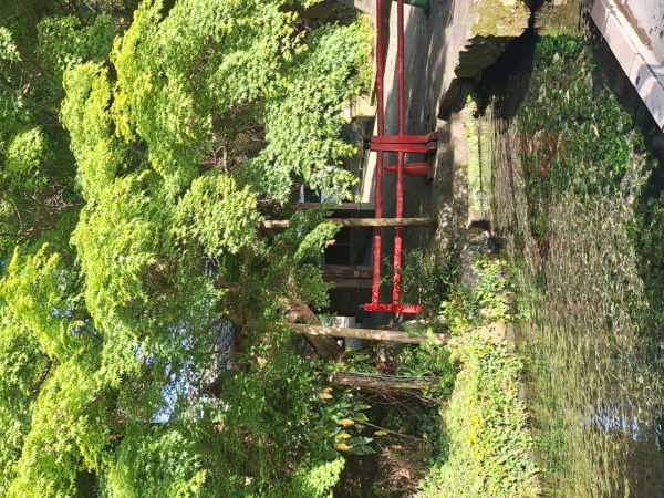 ３３℃の熊本　すまいる北部の画像