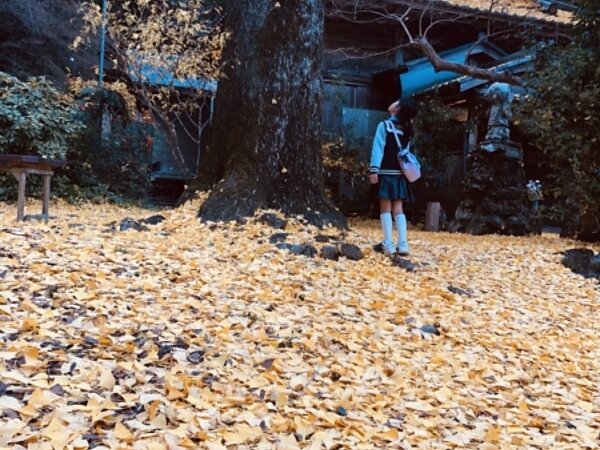 ⭐すまいる事務⑥⭐の画像