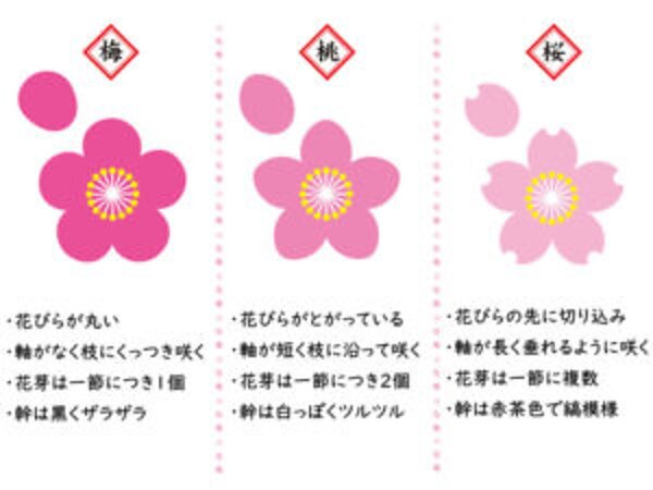 暦の上では春✨間近の画像
