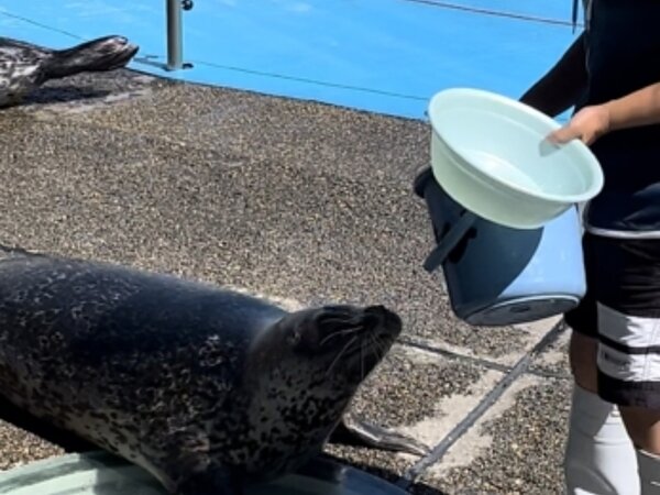 うみたまごへ🐬の画像