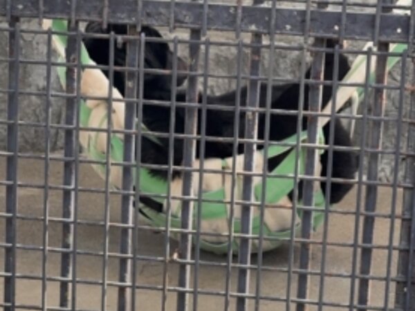 久々の動物園🐵の画像