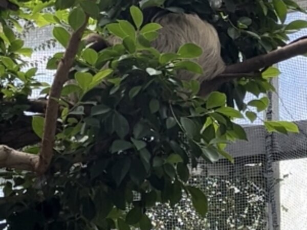 どこかわかるかな❓❓❓の画像