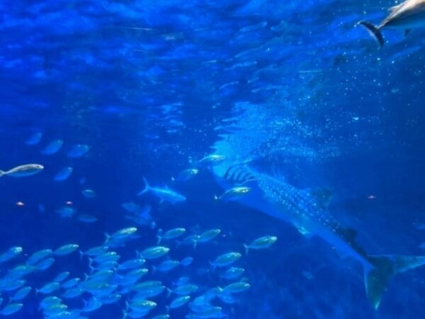 すまいる事務😊9月の画像