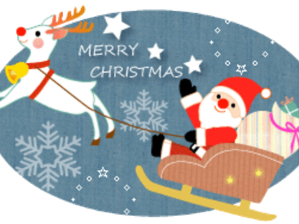 今年を振り返って☆彡の画像