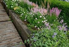 趣味のイメージ