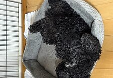 今年も宜しくお願い致します🎍のイメージ