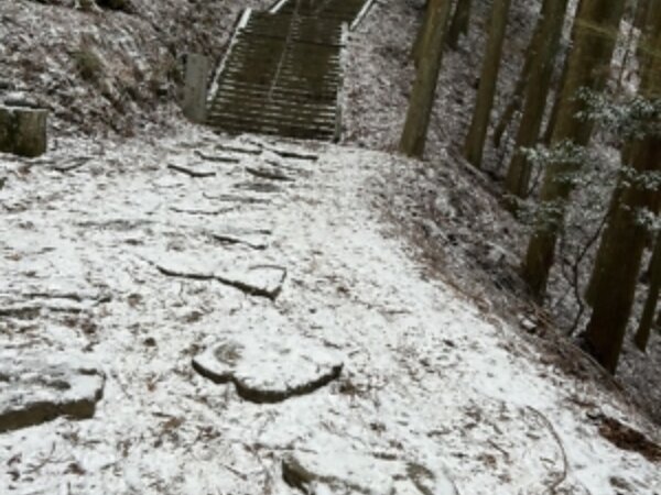 自主訓練　その2の画像