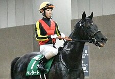 今年のオシウマ💞のイメージ