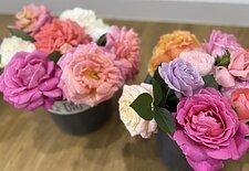 すまいる本店😊のイメージ