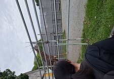 夜の動物園🦒のイメージ