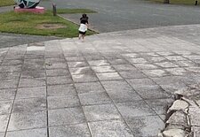 全九州高等学校陸上競技新人対抗選手権🏃のイメージ
