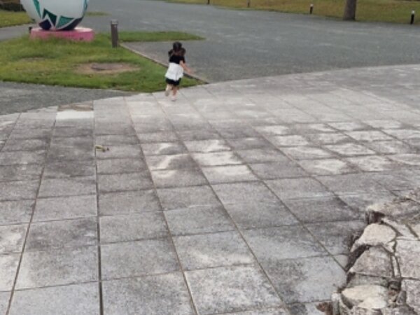 全九州高等学校陸上競技新人対抗選手権🏃の画像