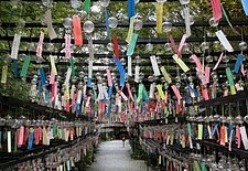 もう秋ですね🍁すまいる縁寿のイメージ