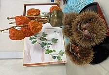 すまいる本店🧡のイメージ
